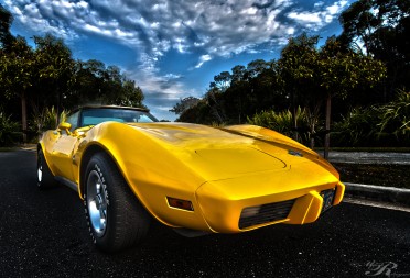 1978 Chevrolet CORVETTE STINGRAY