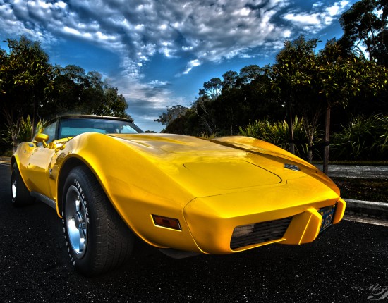 1978 Chevrolet CORVETTE STINGRAY