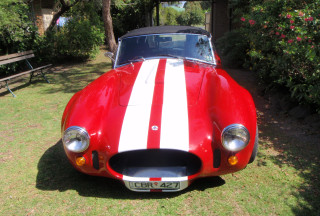 1995 classic glass cobra