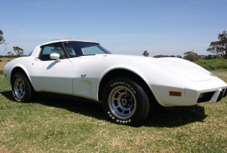 1978 Chevrolet CORVETTE STINGRAY