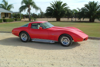 1979 Chevrolet CORVETTE STINGRAY