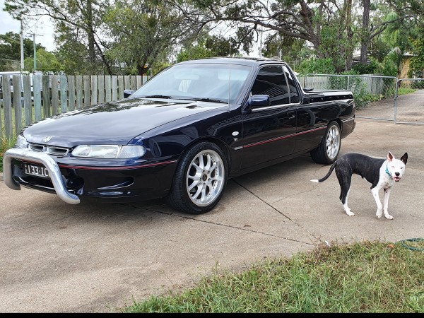 1999 Holden COMMODORE SUM77 Shannons Club