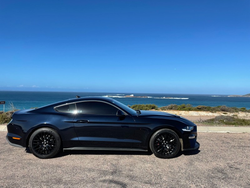 2021 Ford Mustang 2022 Shannons Club Online Show Shine