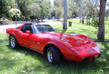1979 Chevrolet CORVETTE STINGRAY