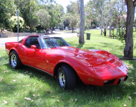 1979 Chevrolet CORVETTE STINGRAY