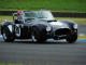 1991 classic glass ac cobra 289 replica