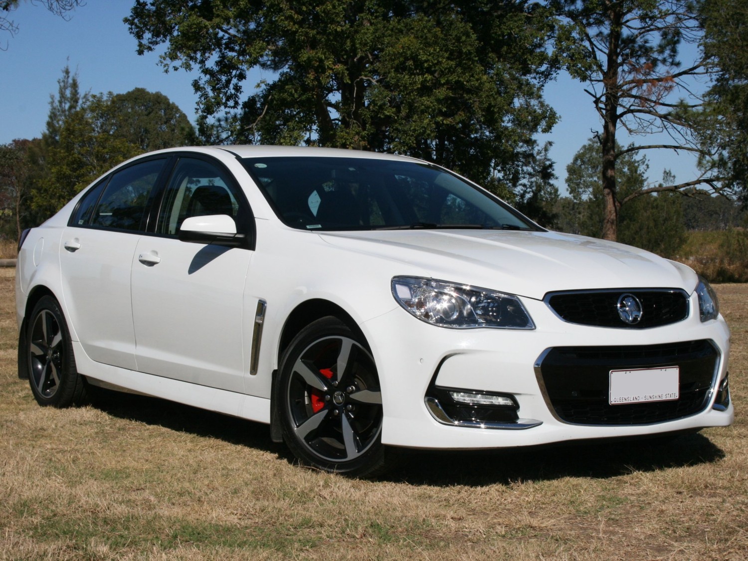 2017 Holden COMMODORE - Paulwoodhouse88 - Shannons Club