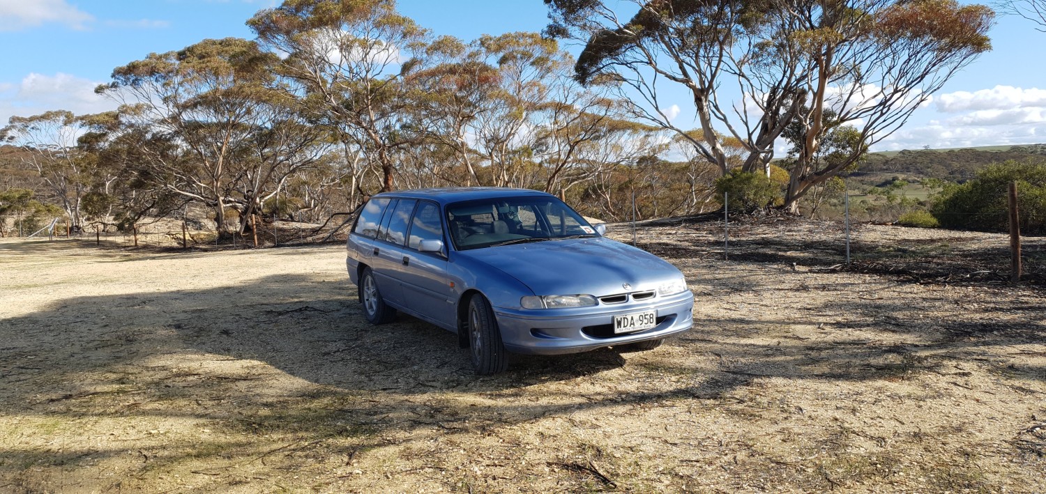 1997 Holden Vs commodore acclaim | 2021 Shannons Club Online Show & Shine