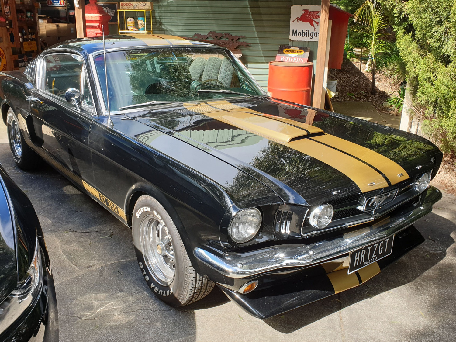 Photo by GregForte Shannons Club