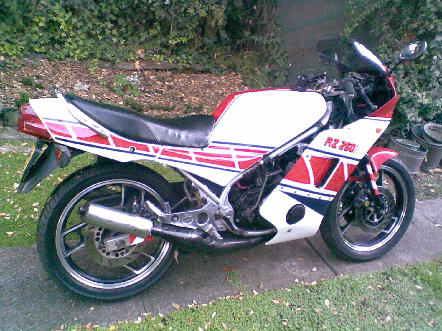 1985 Yamaha RZ250R - RobbieAyre - Shannons Club