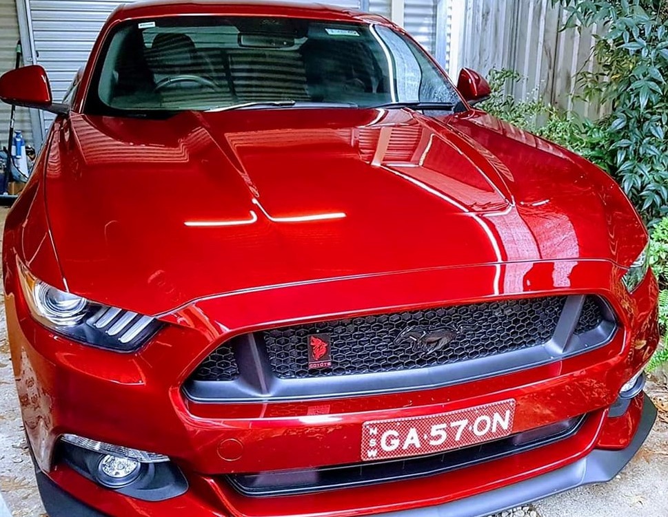 2017 Ford MUSTANG | 2020 Shannons Club Online Show & Shine