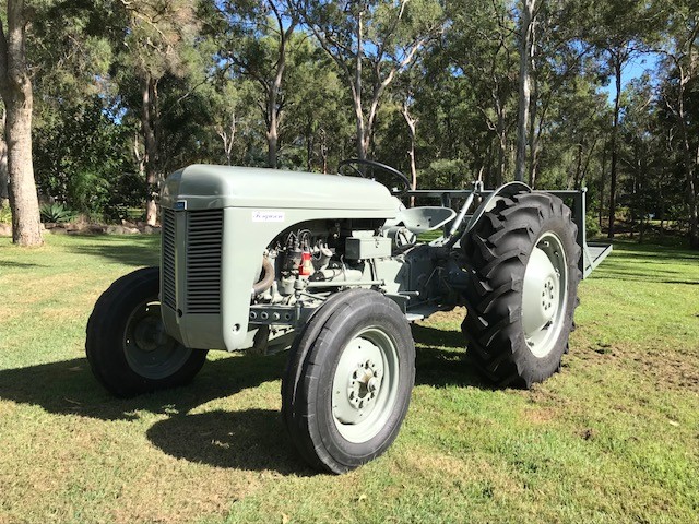 1953 Ferguson Tractor TED20