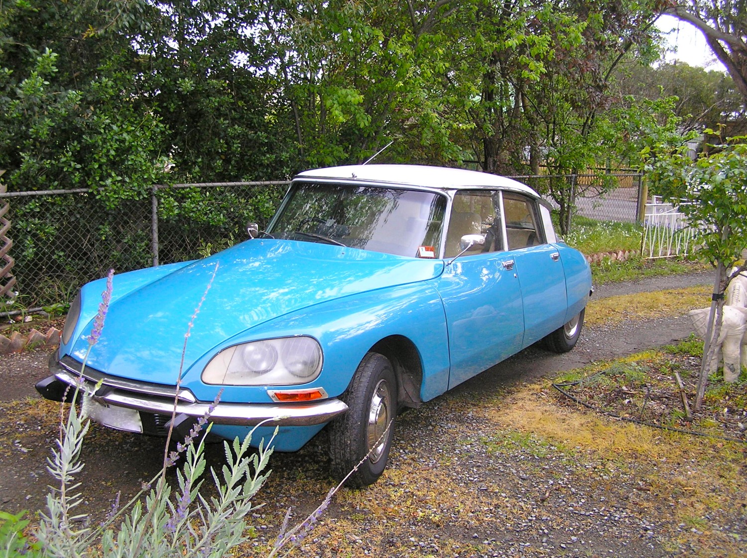 1975 Citroen D Special - PeterJ - Shannons Club