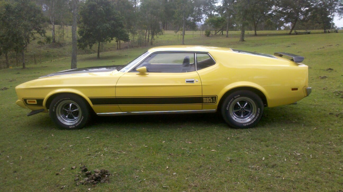 1973 Ford MUSTANG  MACH 1