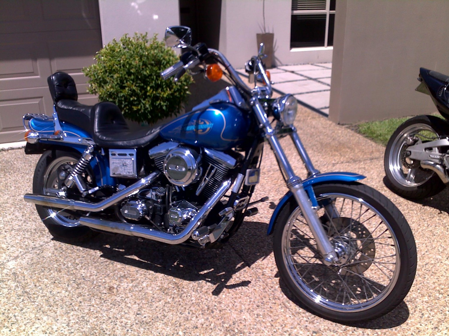 1996 Harley-Davidson Dyna Wide Glide - Gilbo - Shannons Club