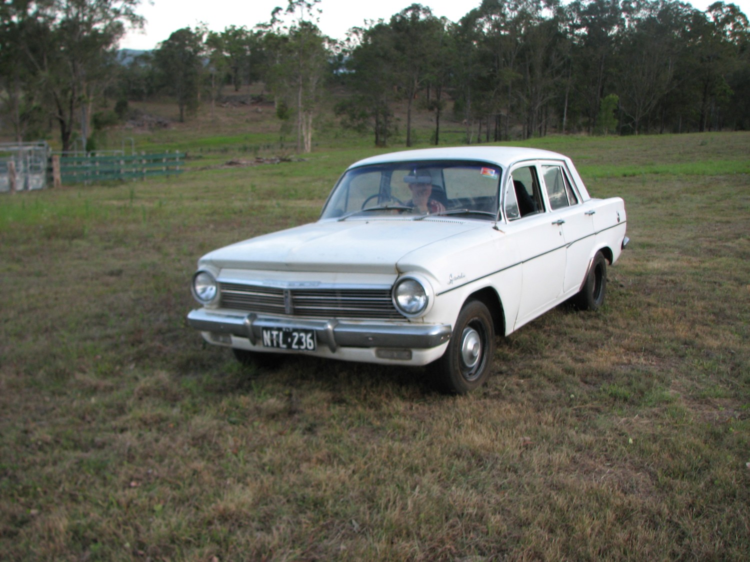 1963 Holden Eh - Chriswithpants - Shannons Club