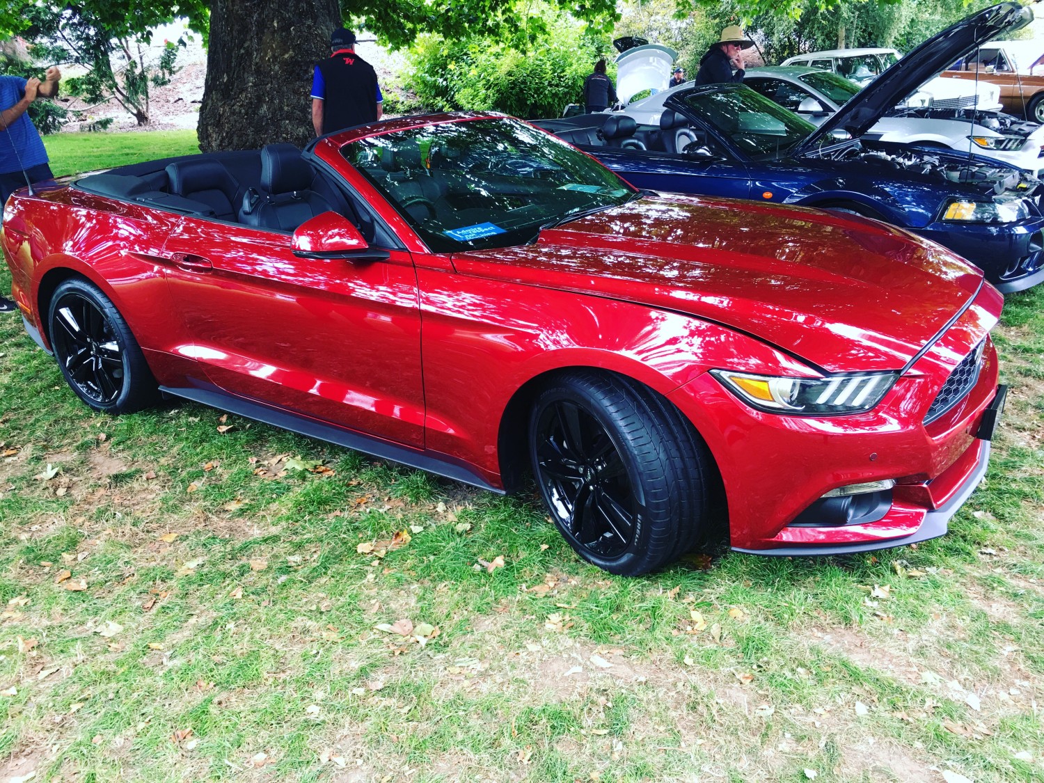 2016 Ford S550 Mustang 2.3L Turbo Automatic (Ruby Red)