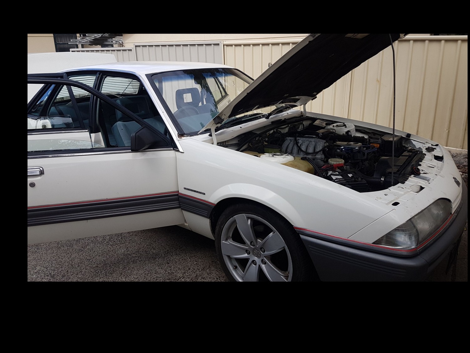 1987 Holden vl commodore - australianpride1 - Shannons Club