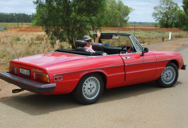 1980 Alfa Romeo Spyder Alfalfa Shannons Club