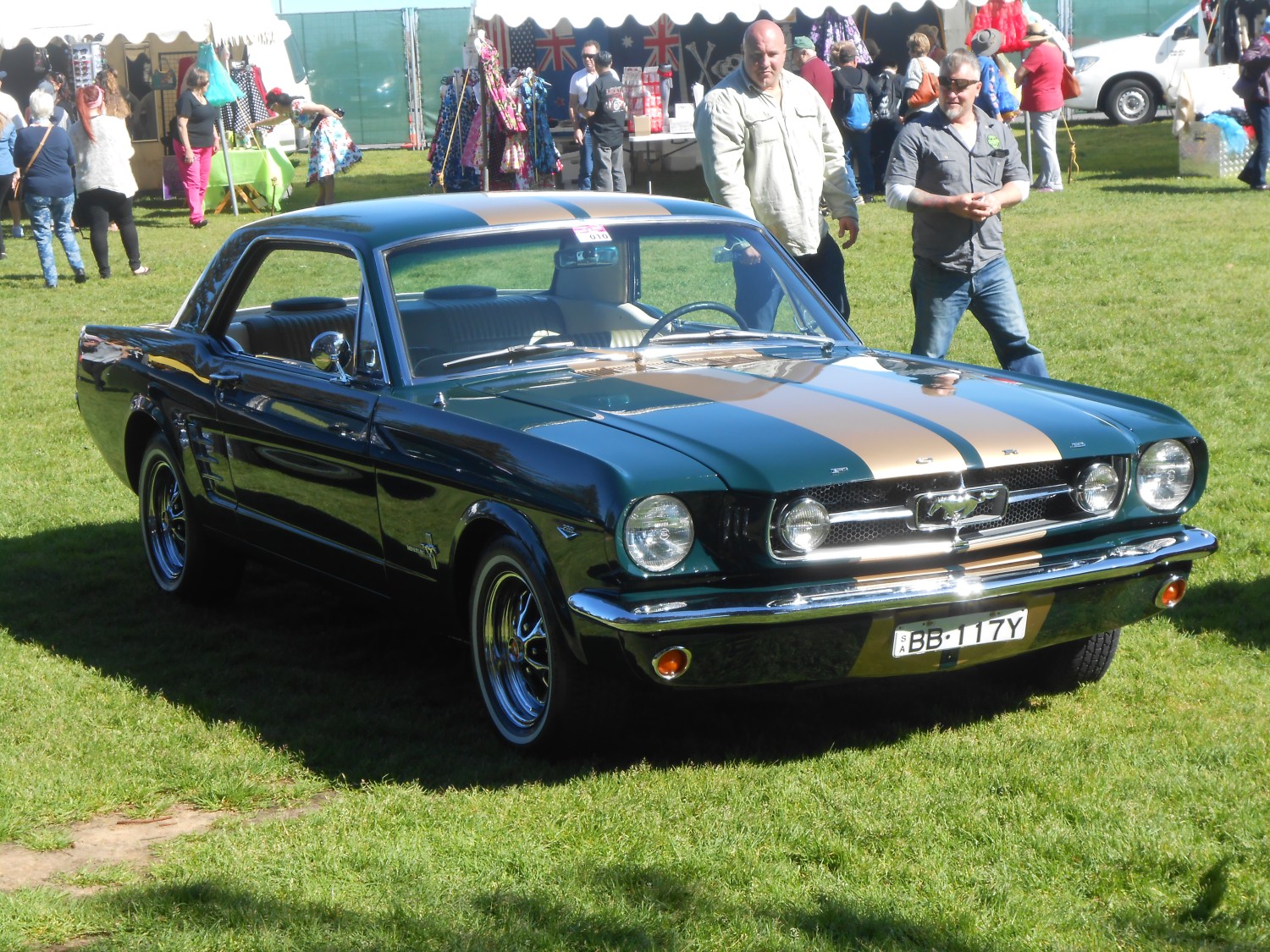 ford mustang daznsue shannons club. 