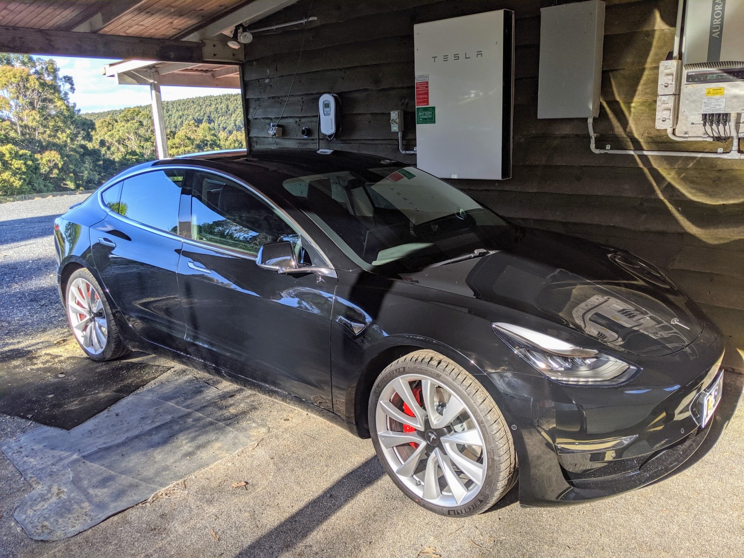 2019 Tesla 3 - SittingDuck - Shannons Club