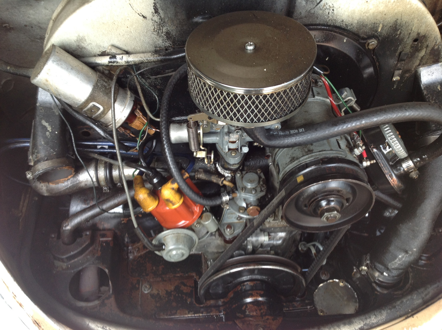 1971 Volkswagen Beetl - AndrewReyne - Shannons Club