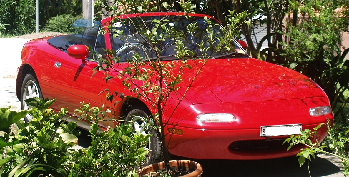 1989 Mazda MX5