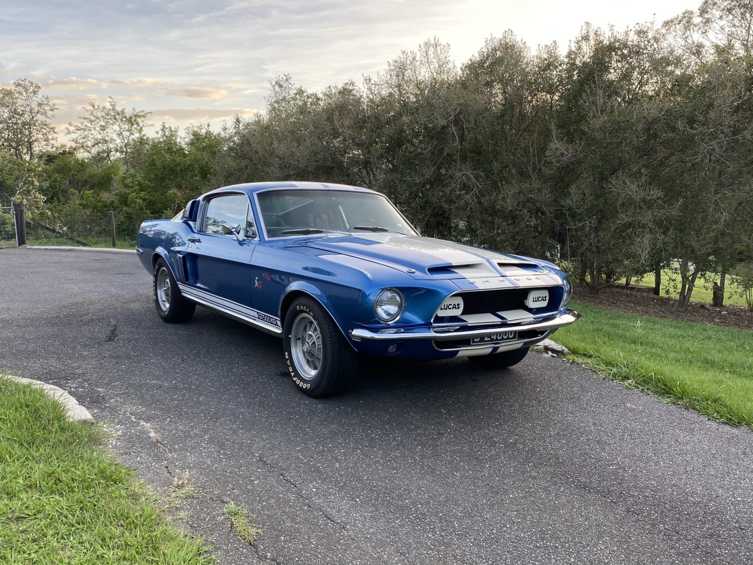 1968 Shelby GT500KR | 2023 Shannons Club Online Show & Shine