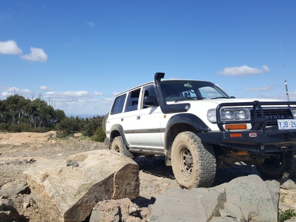 1992 Toyota LANDCRUISER 80 Series GXL (4X4) - Hobbsy6 - Shannons Club