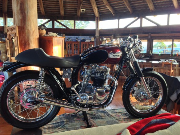 1973 Triumph T140 Bonneville Koowee1 Shannons Club
