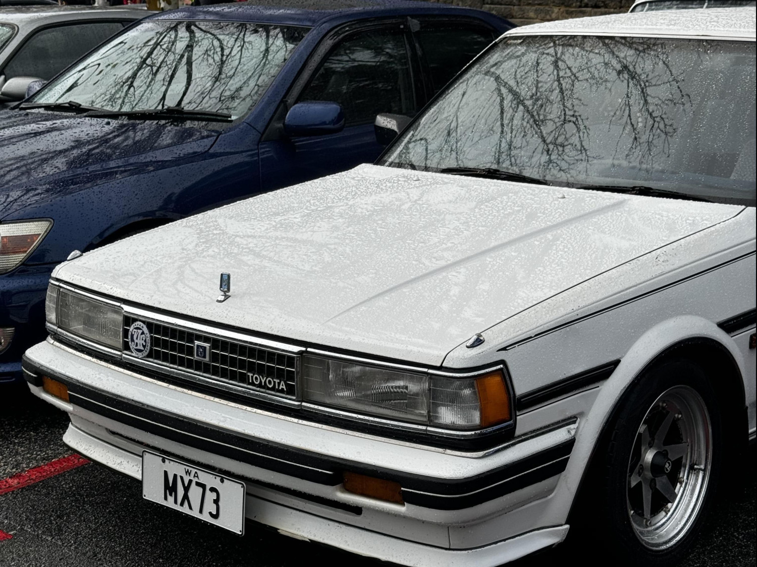 1987 Toyota Cressida MX73 GLX-i - OBAnne - Shannons Club