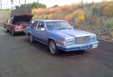 1981 Ford thunderbird specs #3