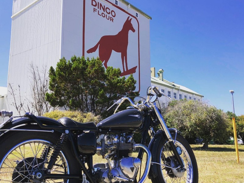 1963 Triumph T100SS | 2021 Shannons Club Online Show & Shine