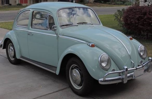 1966 Volkswagen 1300 (BEETLE) - paulg9406 - Shannons Club