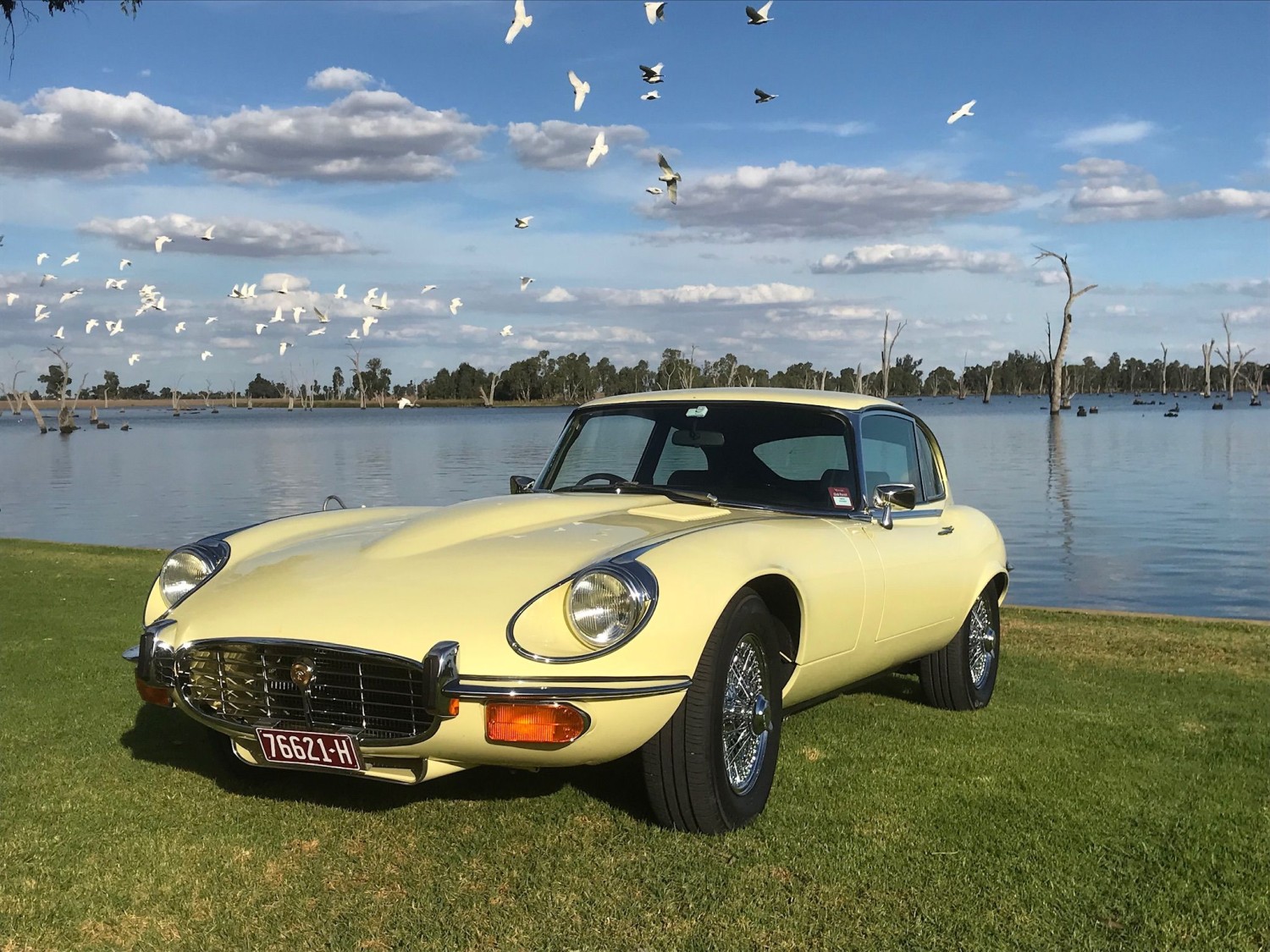 1972 Jaguar E-Type S3 | 2020 Shannons Club Online Show & Shine