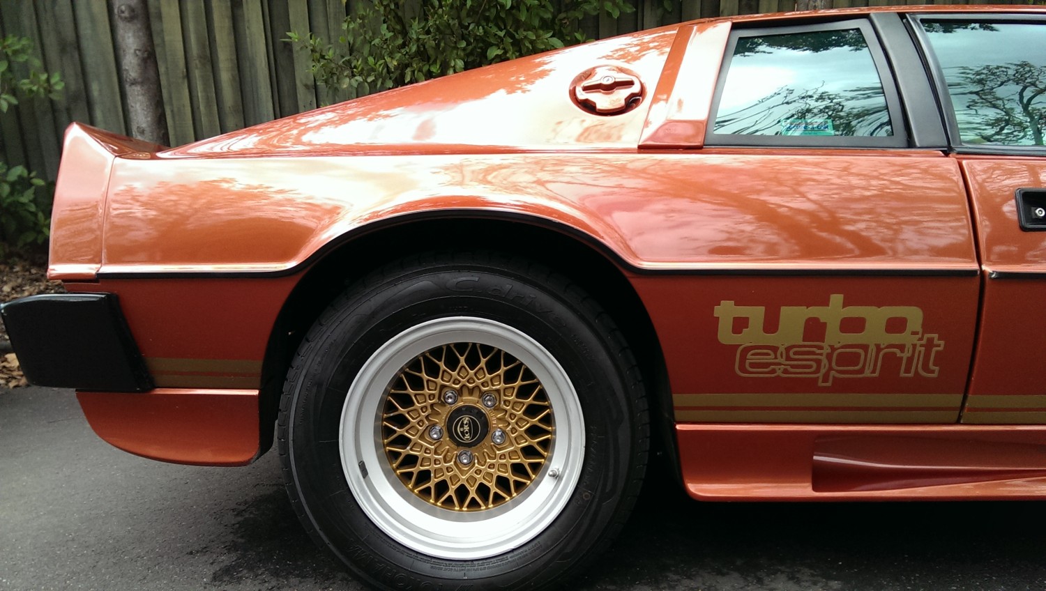 1981 Lotus ESPRIT TURBO