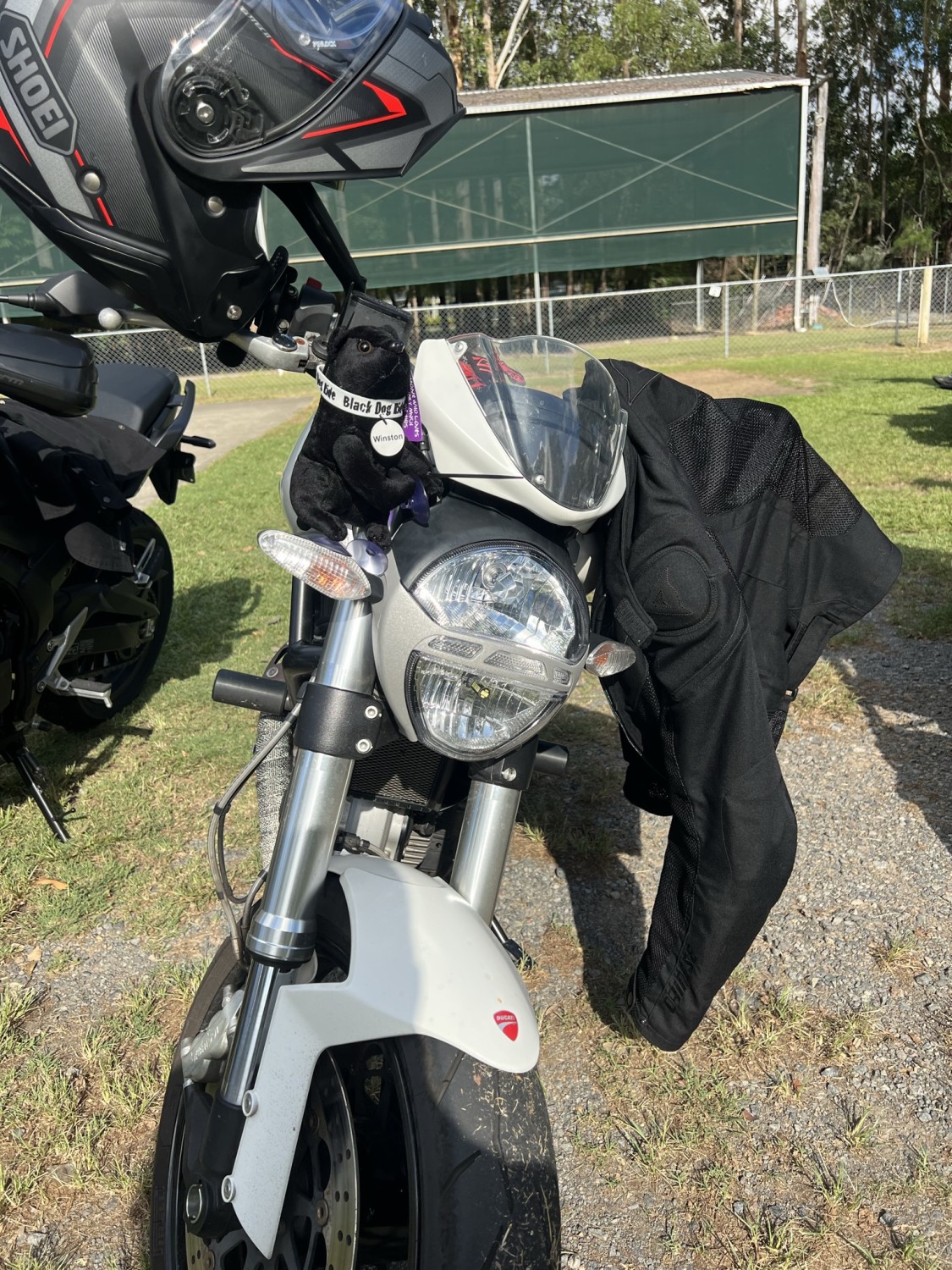 2013 ducati monster 659