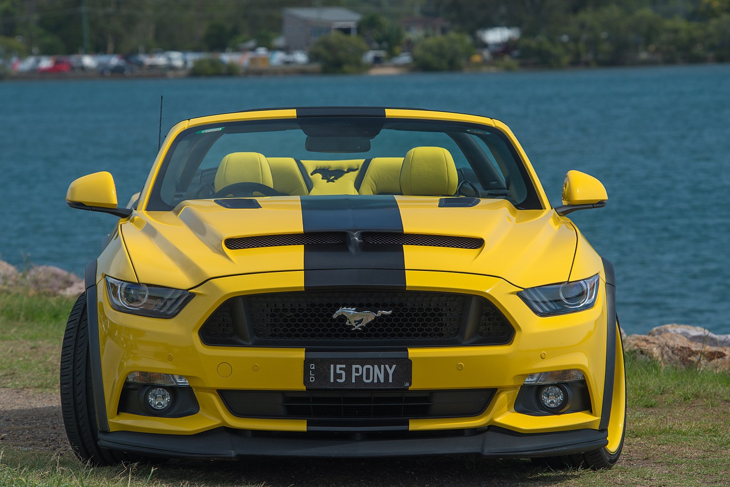 2016 Ford S550 Mustang GT - PonyParts - Shannons Club