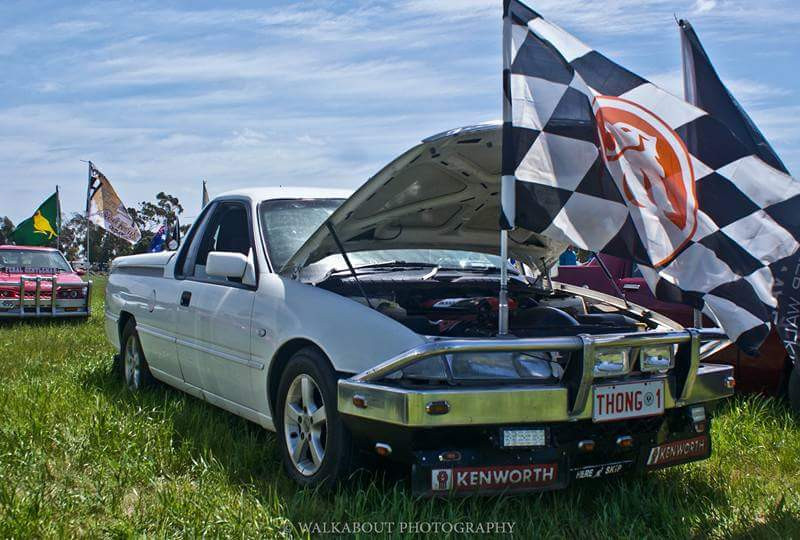 1996 Holden VS Commodore | 2020 Shannons Club Online Show & Shine
