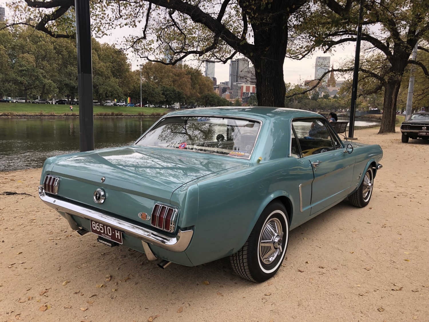 1964 Ford MUSTANG Dale1969 Shannons Club