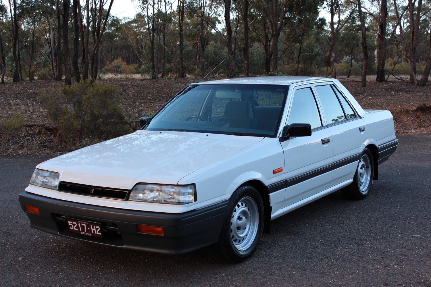 1989 Nissan R31 skyline - carlsr31 - Shannons Club