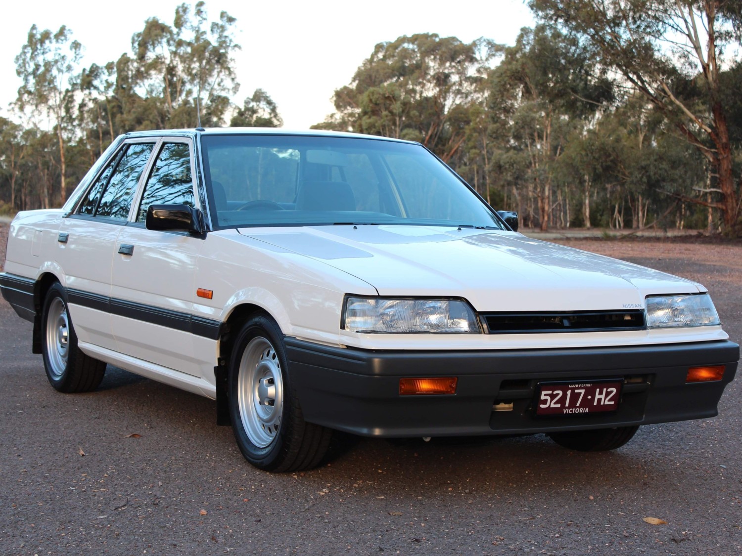 1989 Nissan R31 skyline - carlsr31 - Shannons Club