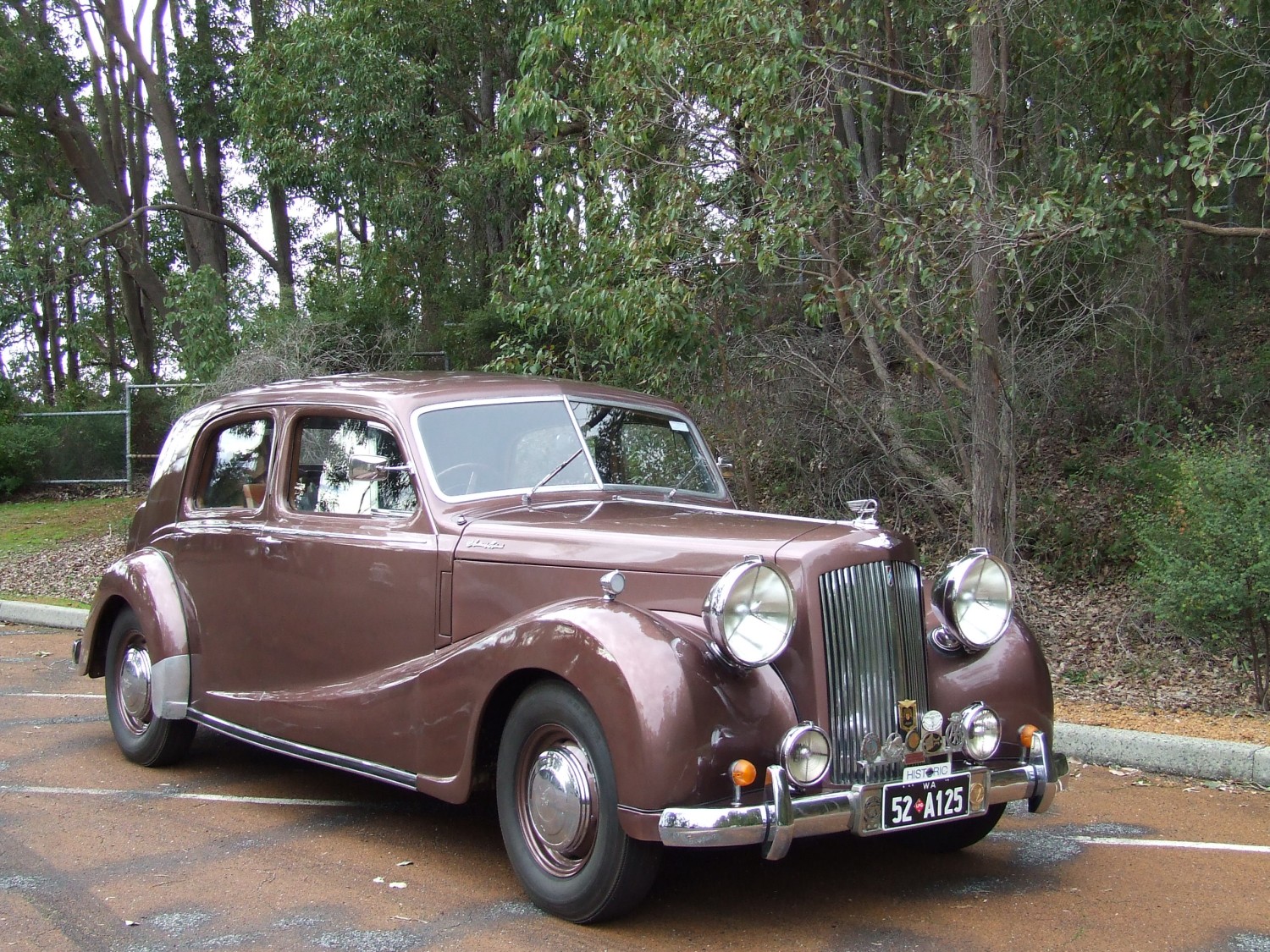 1952 Austin Sheerline ds1 - trevur - Shannons Club