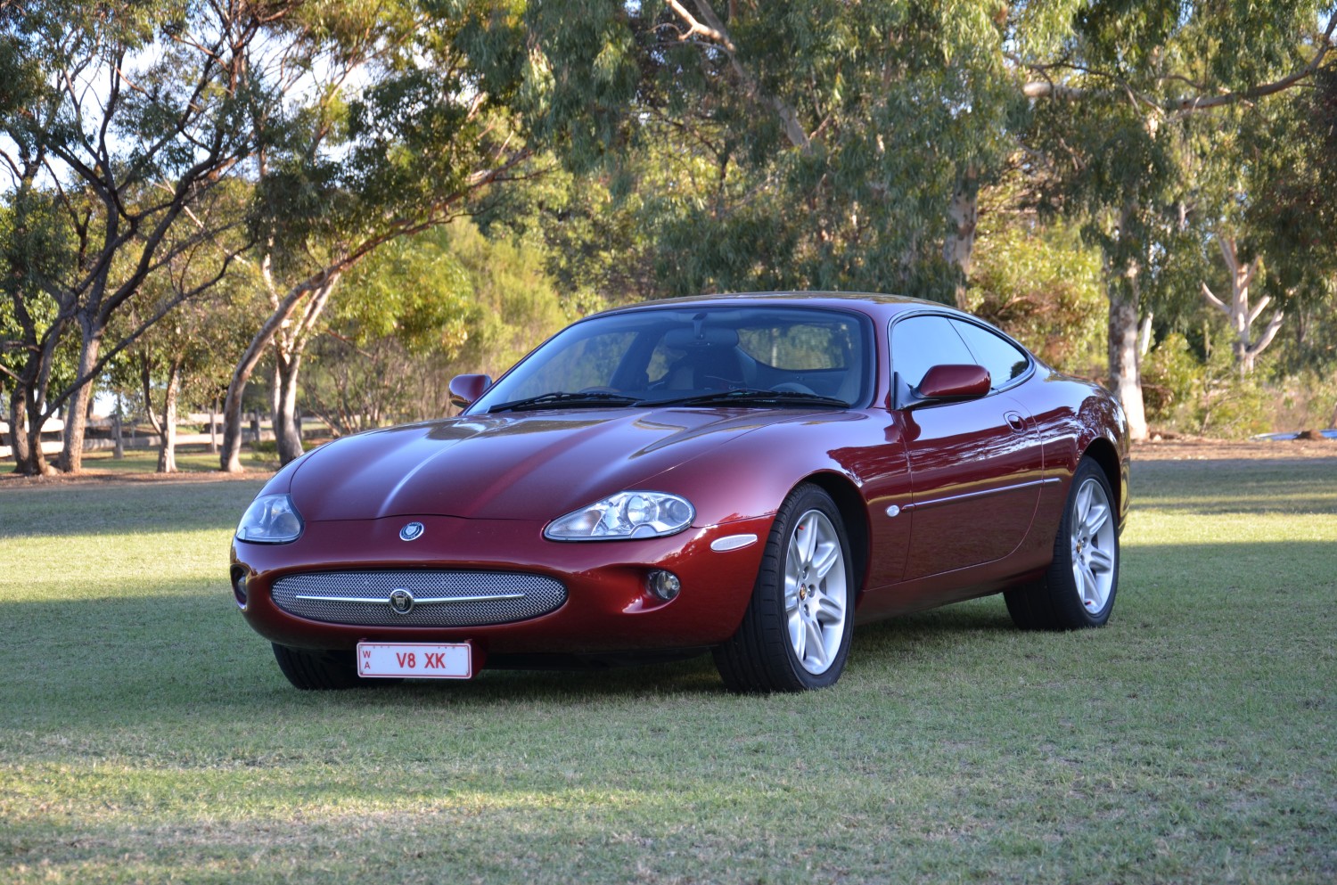 1998 jaguar xk8 coupe for sale