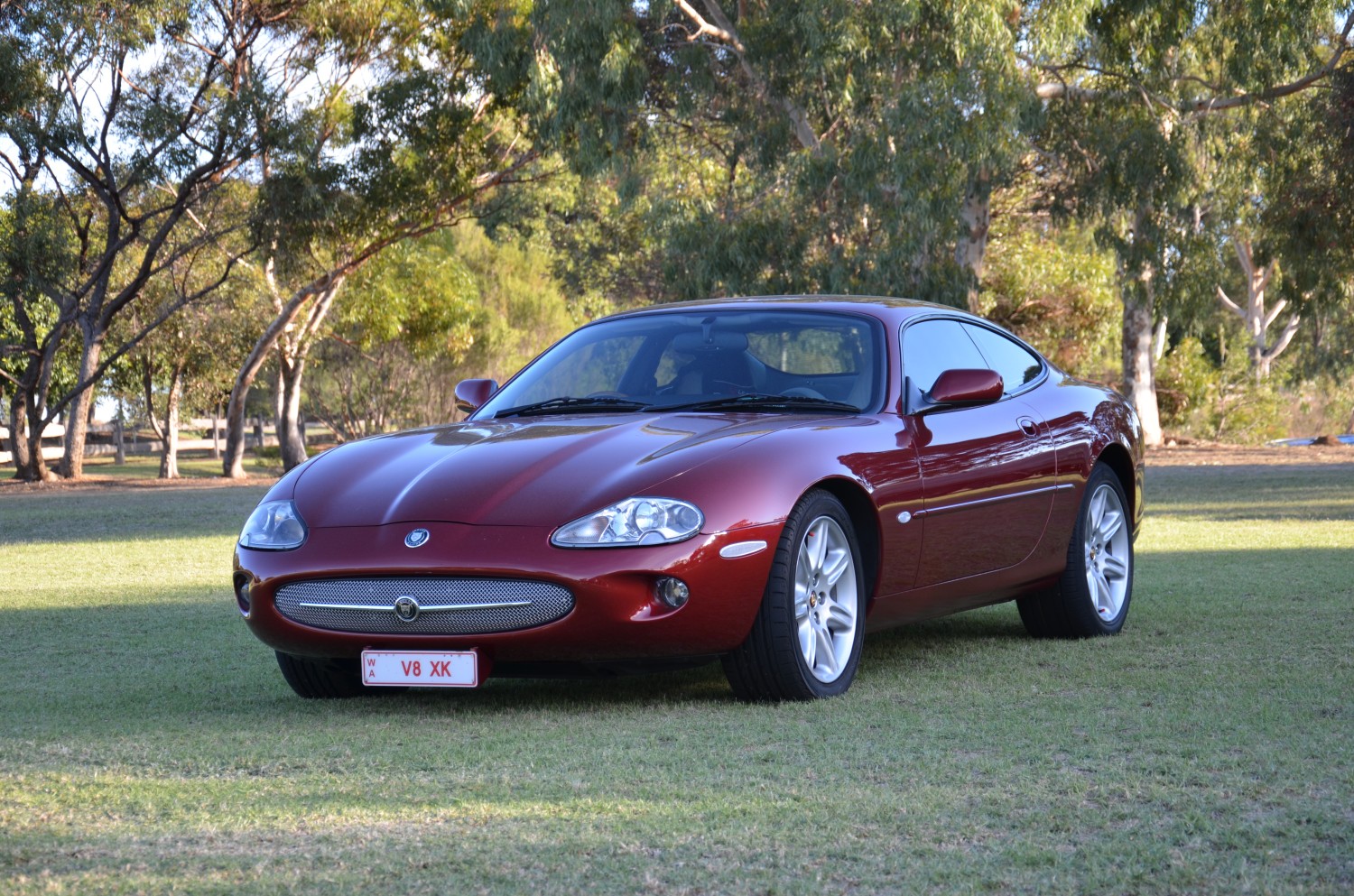 Jaguar XK 2010