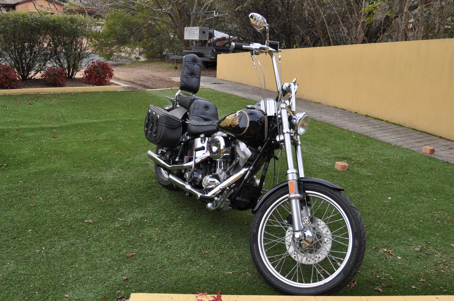 1985 harley davidson softail for sale