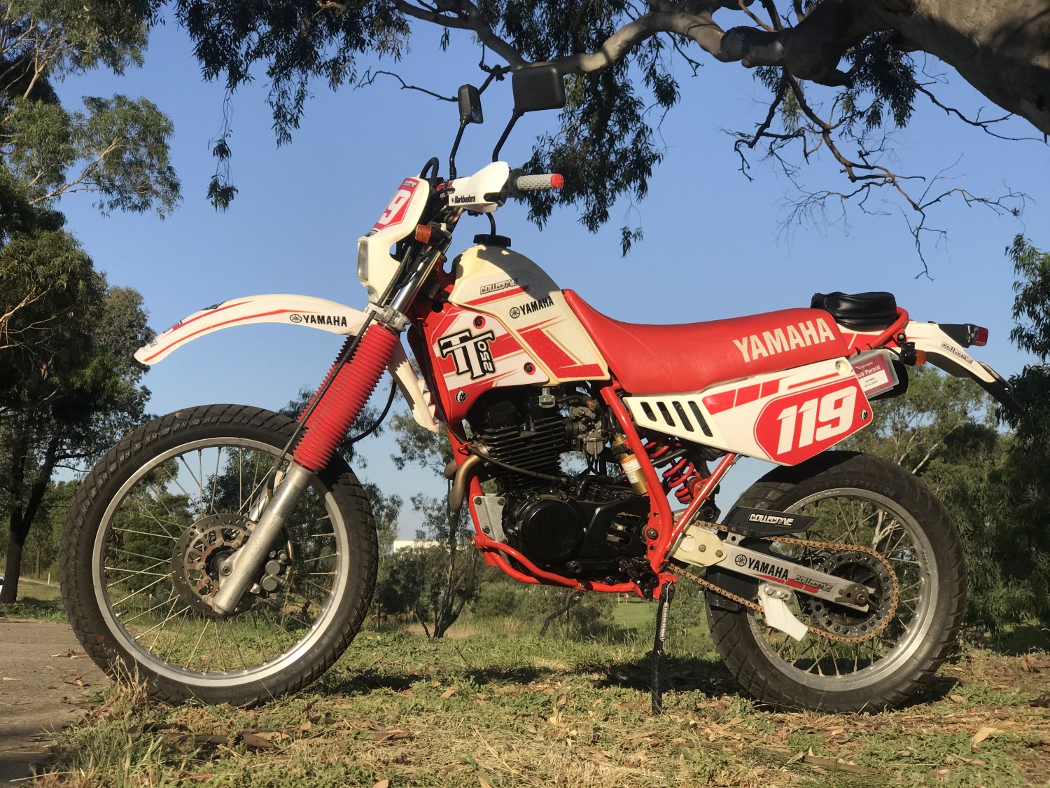 1986 Yamaha TT250