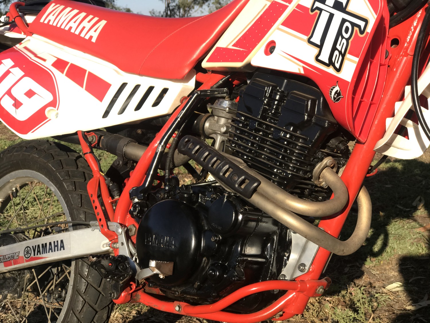 1986 Yamaha TT250