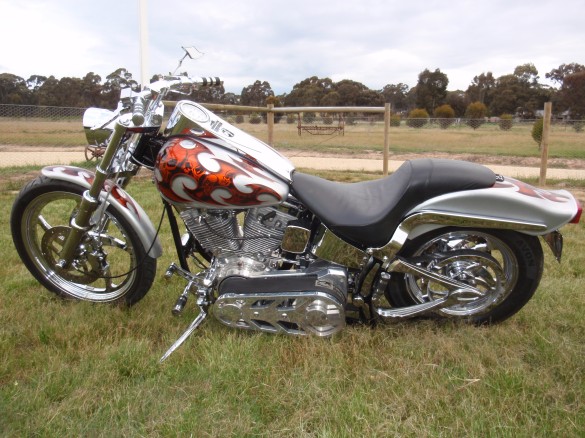 1987 harley softail custom