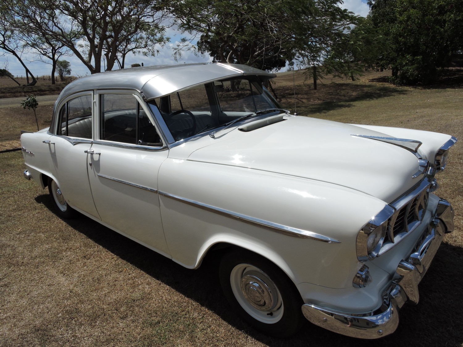 1956 Holden FE | 2020 Shannons Club Online Show & Shine